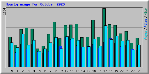 Hourly usage for October 2025