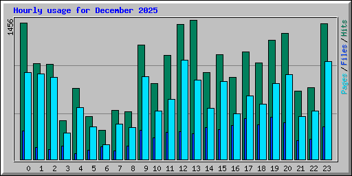 Hourly usage for December 2025