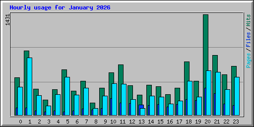 Hourly usage for January 2026