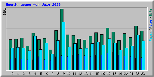 Hourly usage for July 2026