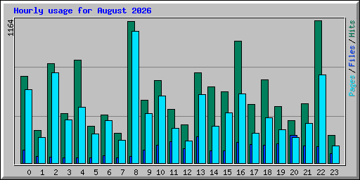 Hourly usage for August 2026